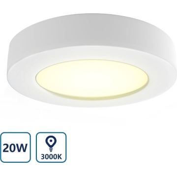 Aigostar - LED Laevalgusti LED/20W/230V d. 24,7 cm 3000K valge