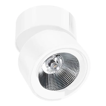 Azzardo AZ1618 - LED Kohtvalgusti SCORPIO 1xLED/10W/230V