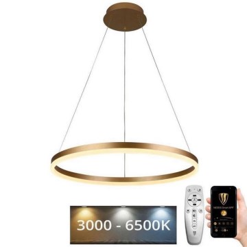 Brilagi - LED Hämardatav lühter CIRCLE LED/42W/230V 3000-6500K + kaugjuhtimispult