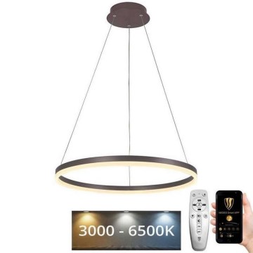 Brilagi - LED Hämardatav lühter CIRCLE LED/42W/230V 3000-6500K pruun + kaugjuhtimispult