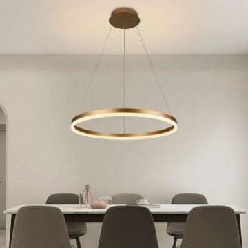 Brilagi - LED Hämardatav lühter CIRCLE LED/42W/230V 3000-6500K + kaugjuhtimispult