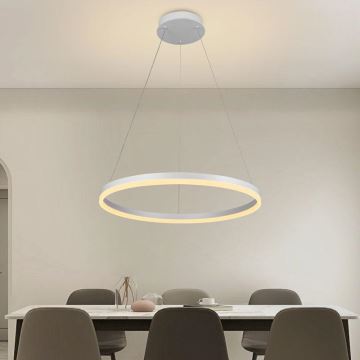 Brilagi - LED Hämardatav lühter CIRCLE LED/42W/230V 3000-6500K + kaugjuhtimispult