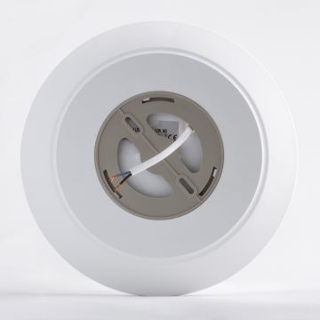 Brilagi - LED Vannitoa laevalgusti VESTAS LED/12W/230V 4000K IP54