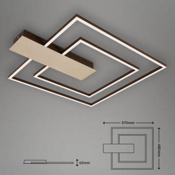 Briloner 3545-017 - LED Hämardatav laevalgusti NICO LED/25W/230V kuldne