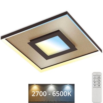 Briloner 3641-017 - LED Hämardatav laevalgusti FRAME LED/30W/230V 2700-6500K kuldne + kaugjuhtimispult