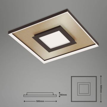 Briloner 3641-017 - LED Hämardatav laevalgusti FRAME LED/30W/230V 2700-6500K kuldne + kaugjuhtimispult