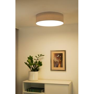 Duolla - LED Laevalgusti CORTINA LED/26W/230V d. 45 cm 4000K hall