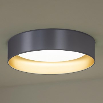 Duolla - LED Laevalgusti ROLLER LED/24W/230V hõbedane/kuldne