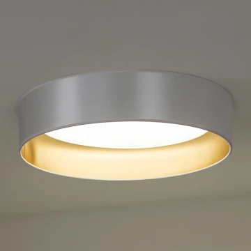 Duolla - LED Laevalgusti ROLLER LED/24W/230V hõbedane/kuldne