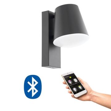 Eglo 33559 - LED Hämardatav väli seinavalgusti CALDIERO-C 1xE27/9W/230V IP44