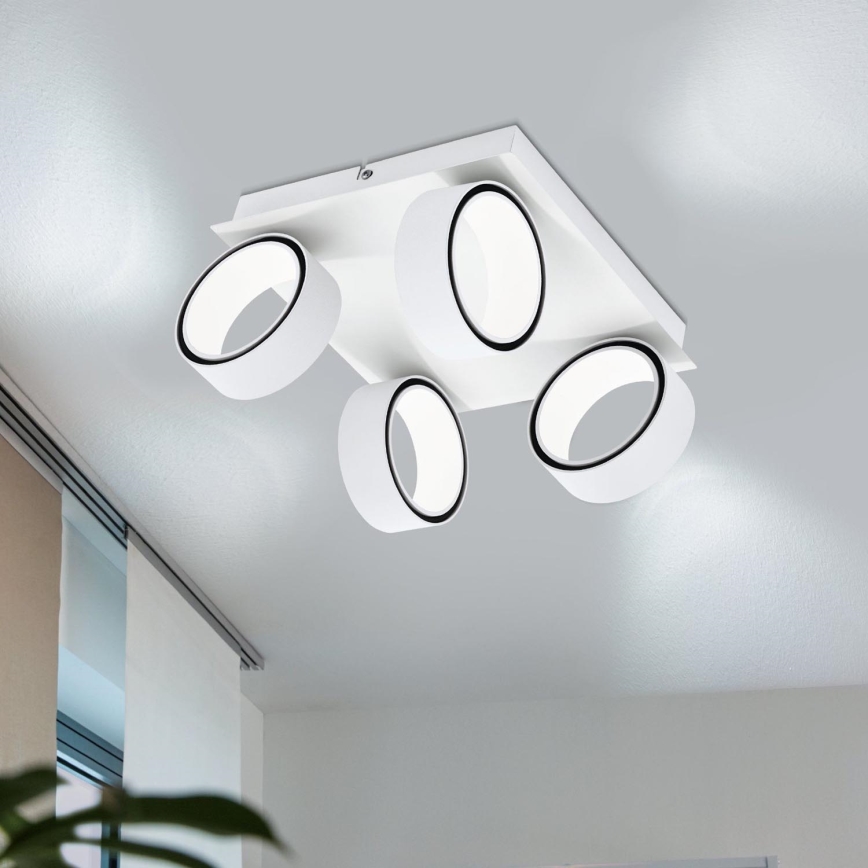 Eglo 39587 - LED Kohtvalgusti ALBARIZA 4xLED/4,6W/230V