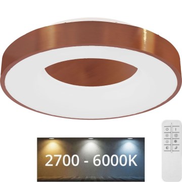 Globo - LED Hämardatav laevalgusti LED/30W/230V 2700-6000K + kaugjuhtimispult