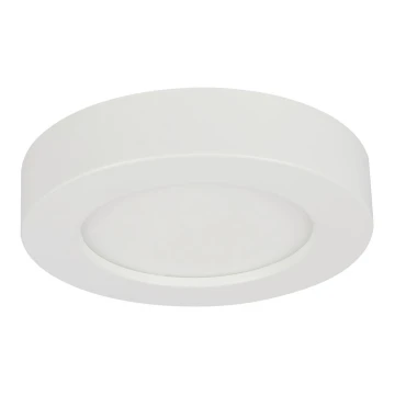 Globo - LED Hämardatav valgusti vannituppa LED/18W/230V 3000/4000/6000K IP44