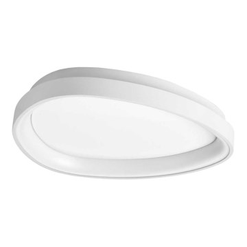 Ideal Lux - LED Laevalgusti GEMINI LED/23W/230V d. 42,5 cm valge