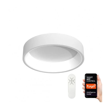 Immax NEO 07016L - LED Hämardatav laevalgusti AGUJERO LED/30W/230V Tuya + Pult