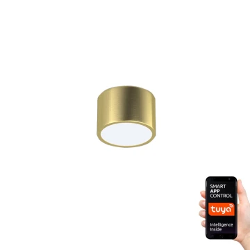 Immax Neo 07127L - LED Hämardatav laevalgusti RONDATE LED/12W/230V Tuya