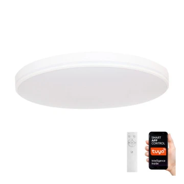 Immax NEO 07149-W40 - LED Hämardatav laevalgusti NEO LITE AREAS 24W/230V Tuya Wi-Fi valge + Pult