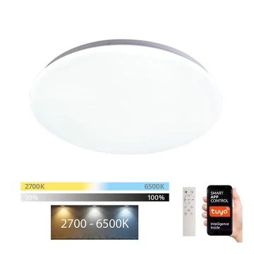 Immax NEO 07156-38 - LED Hämardatav laevalgusti ANCORA LED/24W/230V 2700-6500K Wi-Fi +pult Tuya