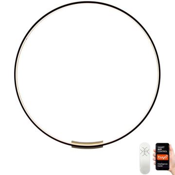 Immax NEO 07245-80 - LED Hämardatav seinavalgusti FINO LED/50W/230V 2700-6500K 80 cm Tuya + kaugjuhtimispult