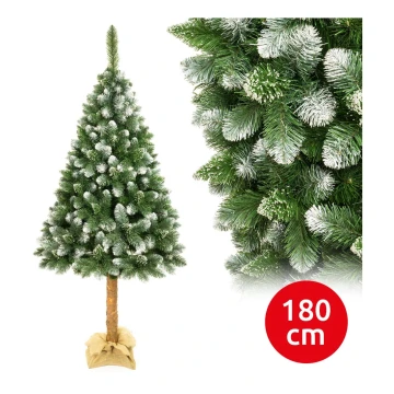 Jõulupuu tüvega 180 cm mänd