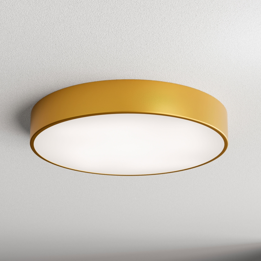 LED Laevalgusti CLEO LED/69W/230V 4000K d. 50 cm kuldne