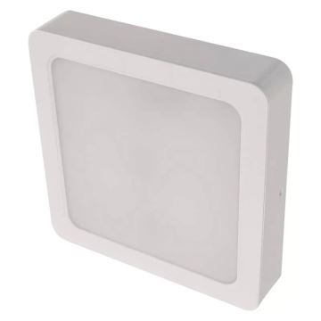 LED Laevalgusti LED/24W/230V 22x22 cm valge