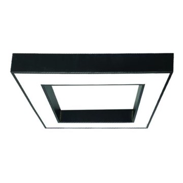 LED Laevalgusti LED/55W/230V 4000K 80x80 cm