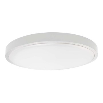 LED Laevalgusti vannituppa SAMSUNG CHIP LED/24W/230V IP44 6500K d. 29 cm valge