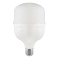 LED Pirn T100 E27/30W/230V 4000K