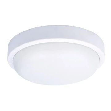 LED Väli laevalgusti LED/20W/230V IP54