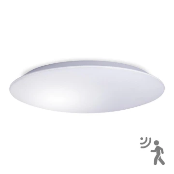 LED Vannitoa laevalgusti koos anduriga AVESTA LED/12W/230V 4000K IP54