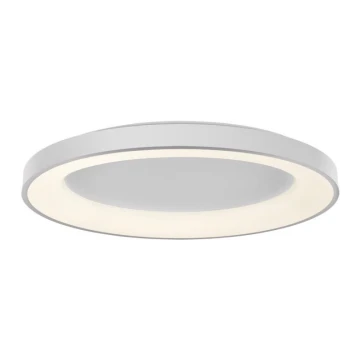 LED2 - LED Hämardatav laevalgusti BELLA LED/80W/230V 3000K/4000K valge