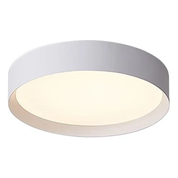 LED2 - LED Hämardatav laevalgusti MILA LED/30W/230V