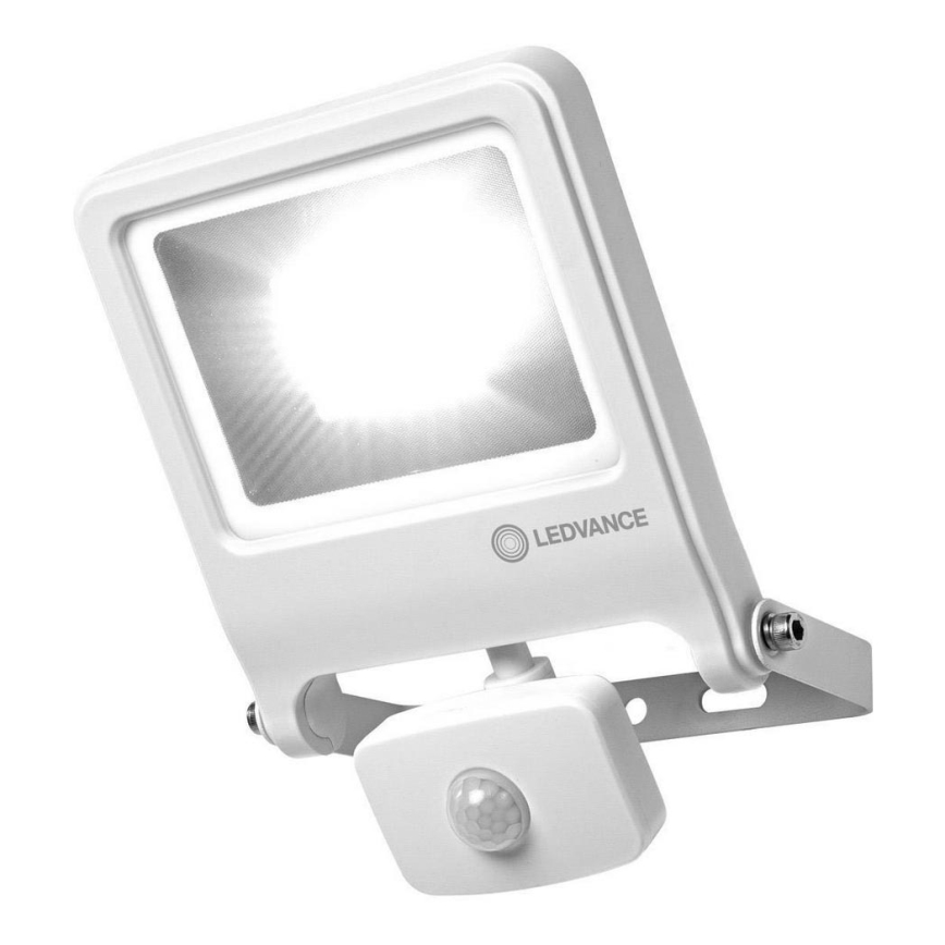 ledvance 30w led floodlight