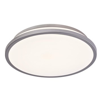 Ledvance - LED Laevalgusti ORBIS DUBLIN LED/16W/230V d. 29,5 cm