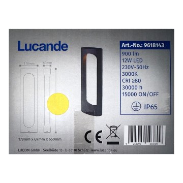 Lucande - LED Välivalgusti FENTI LED/12W/230V IP65