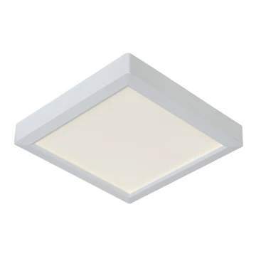 Lucide 07106/18/31 - Laevalgusti TENDO-LED LED/18W/230V