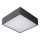 Lucide 27816/10/29 - LED Laevalgusti vannituppa ROXANE LED/12W/230V 24x24 cm IP54 must