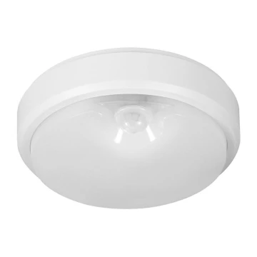 Müller-Licht - LED Väli laevalgusti koos anduriga PICTOR LED/8W/230V IP54