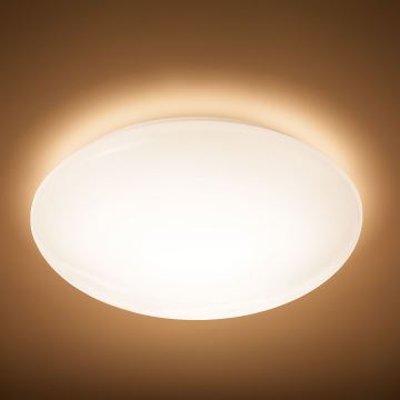 Philips - LED Laevalgusti LED/9,6W/230V