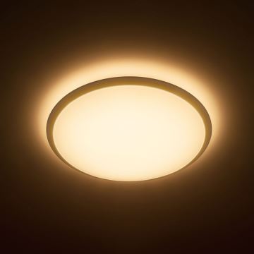 Philips - LED Laevalgusti 1xLED/20W/230V