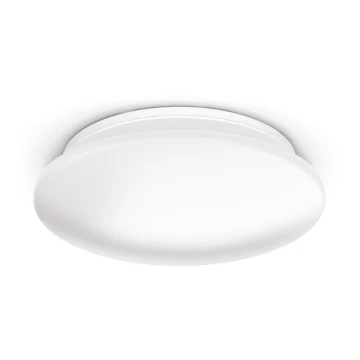 Philips - Laevalgusti LED/10W/230V