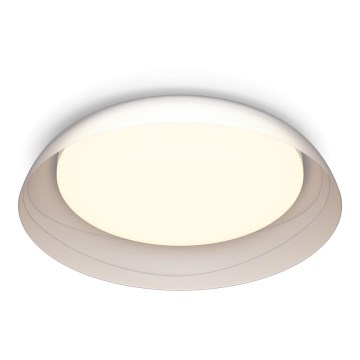 Philips - LED Hämardatav laevalgusti FLETA LED/10W/230V 2700K läbipaistev