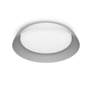 Philips - LED Hämardatav laevalgusti FLETA LED/10W/230V 2700K läbipaistev