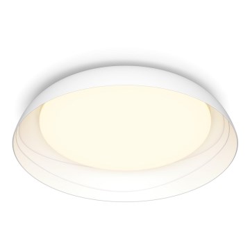 Philips - LED Hämardatav laevalgusti FLETA LED/10W/230V 2700K valge