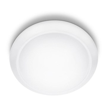 Philips - LED Laevalgusti 1xLED/22W/230V