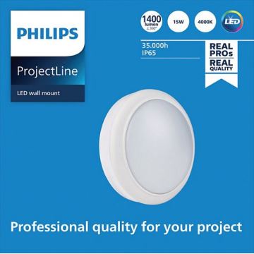 Philips - LED Seinavalgusti PROJECTLINE LED/15W/230V IP65