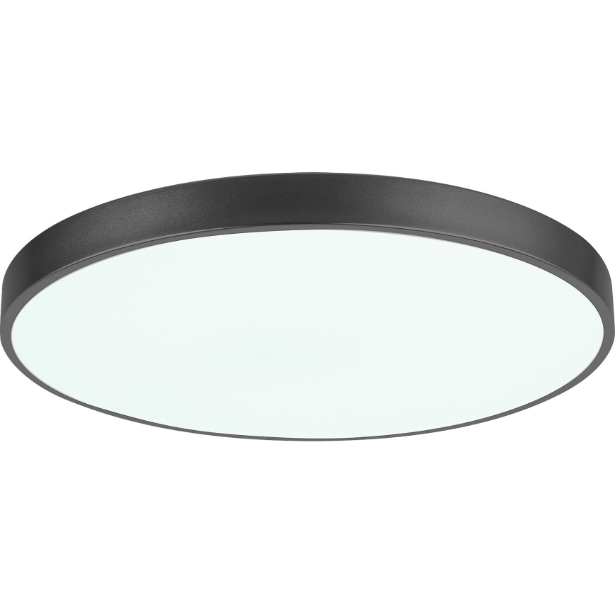 Rabalux - LED Hämardatav laevalgusti LED/60W/230V 60 cm + kaugjuhtimispult