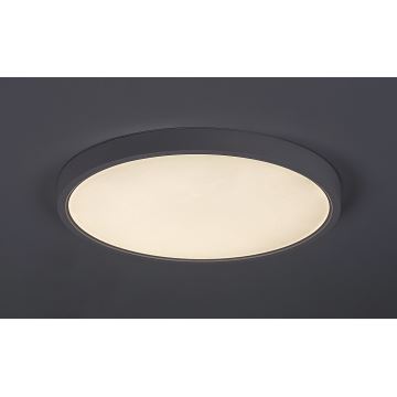 Rabalux - LED Laevalgusti LED/24W/230V 4000K d. 30 cm valge