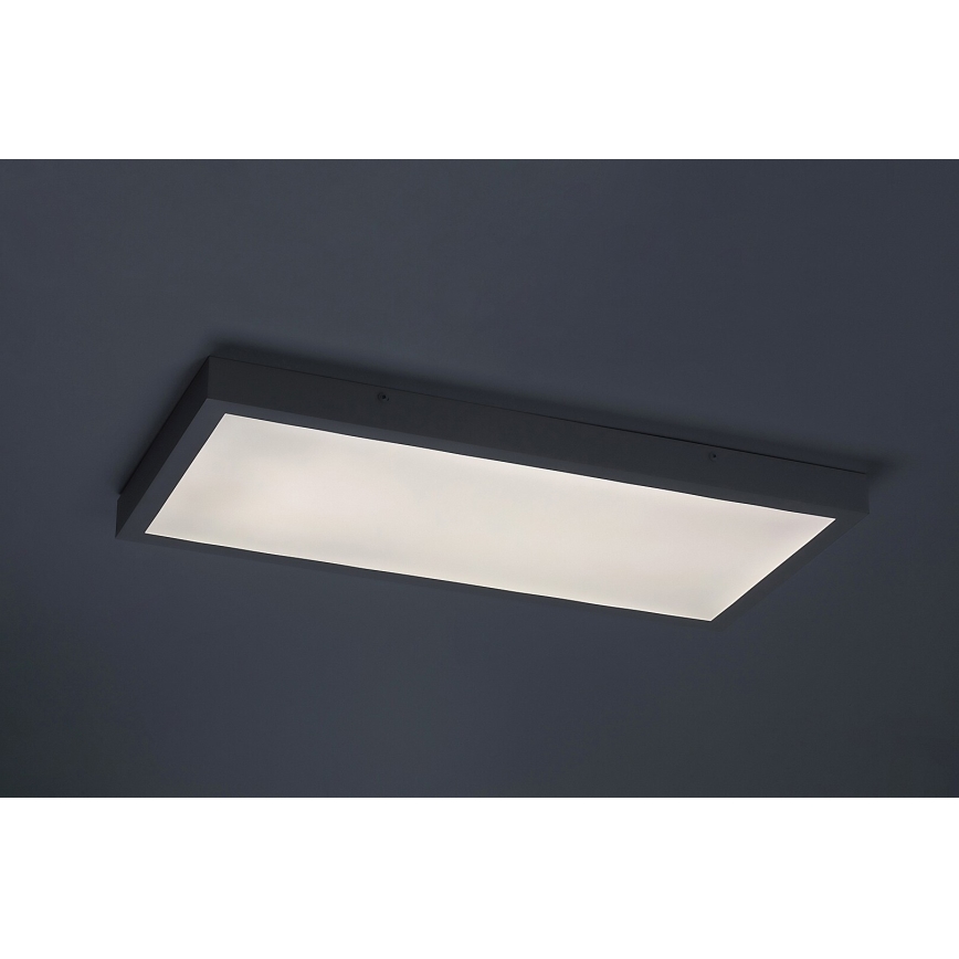 Rabalux - LED Pinnale kinnitatav valguspaneel LED/24W/230V 4000K 60x30 cm